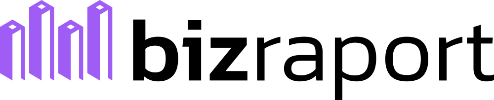 BizRaport Logo